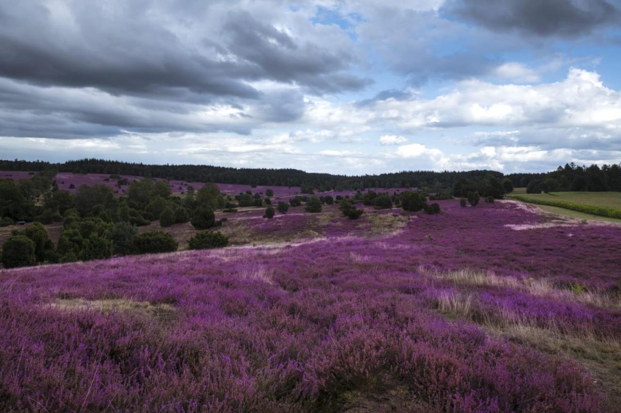 Ferienwohnung Heide View Биспинген Экстерьер фото