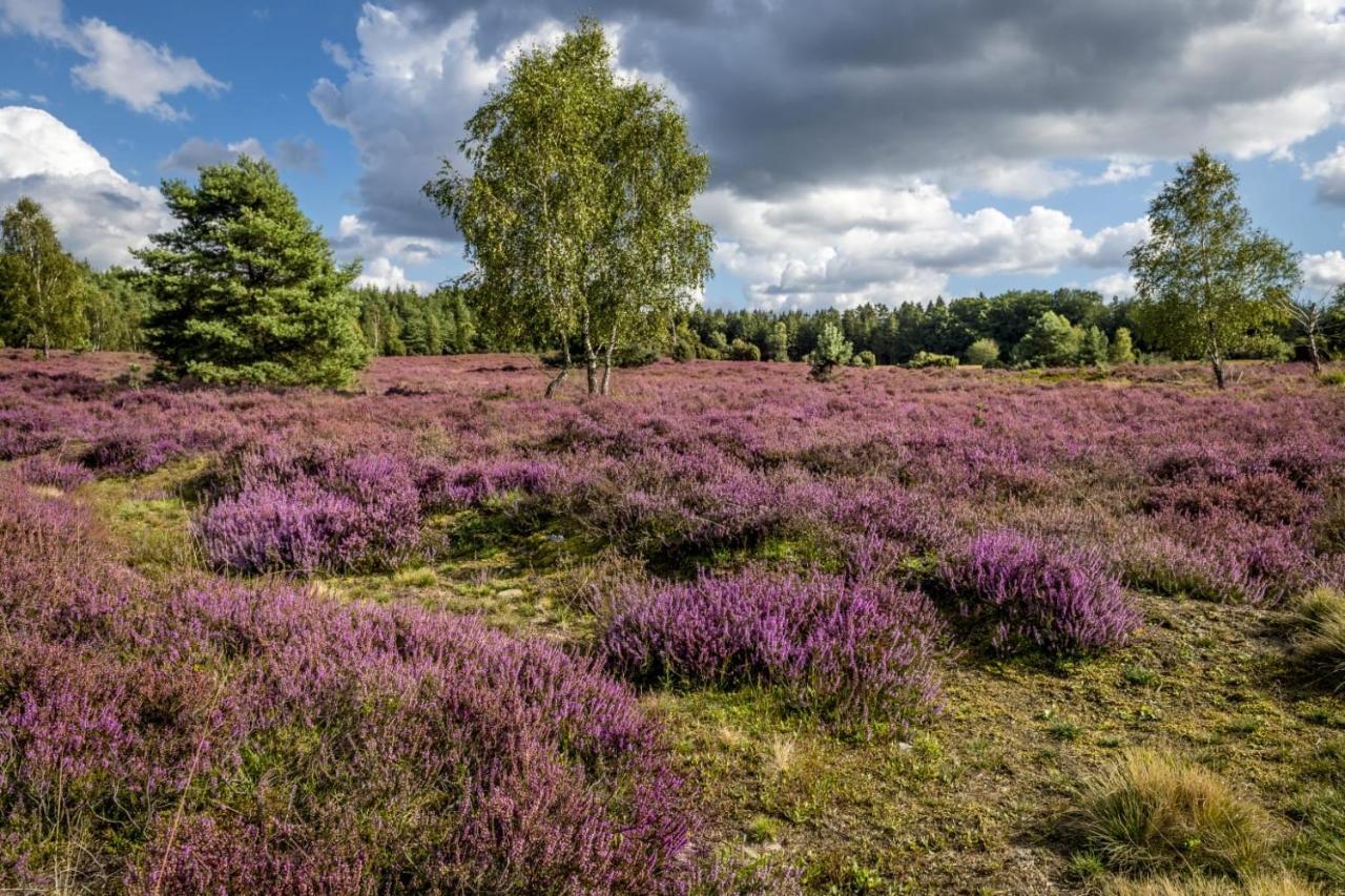 Ferienwohnung Heide View Биспинген Экстерьер фото