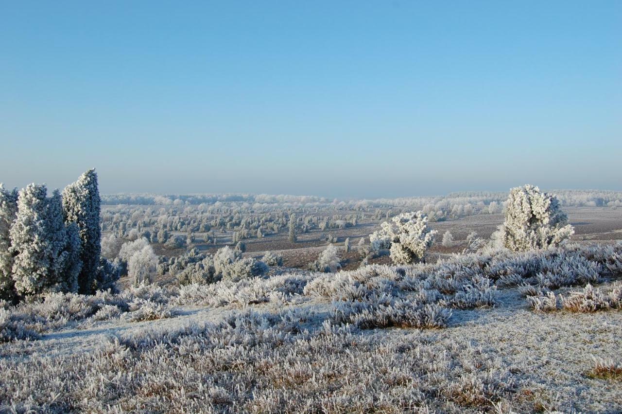Ferienwohnung Heide View Биспинген Экстерьер фото