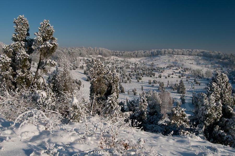 Ferienwohnung Heide View Биспинген Экстерьер фото