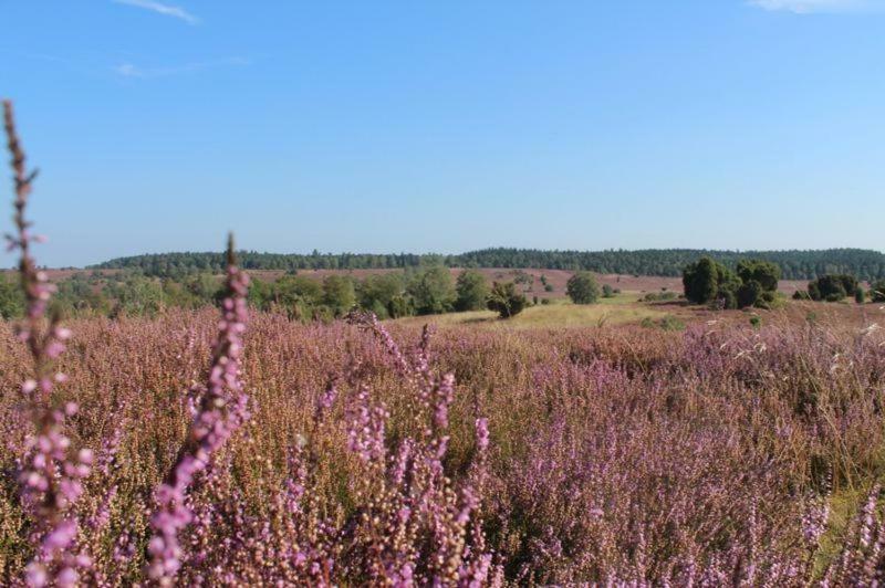 Ferienwohnung Heide View Биспинген Экстерьер фото