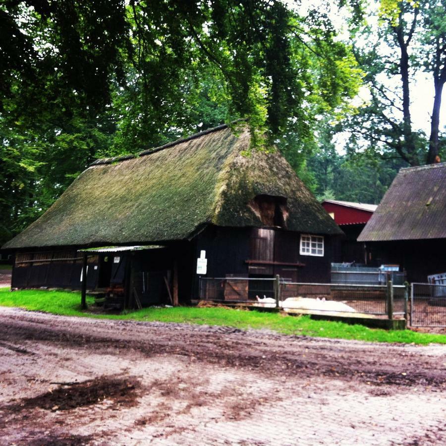 Ferienwohnung Heide View Биспинген Экстерьер фото